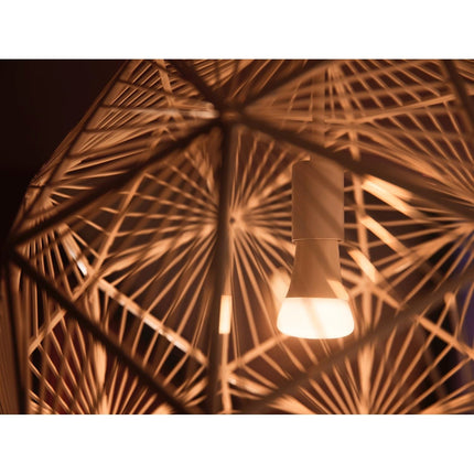 Ampoule LED connectée PHILIPS White Ambiance B22 75W x2