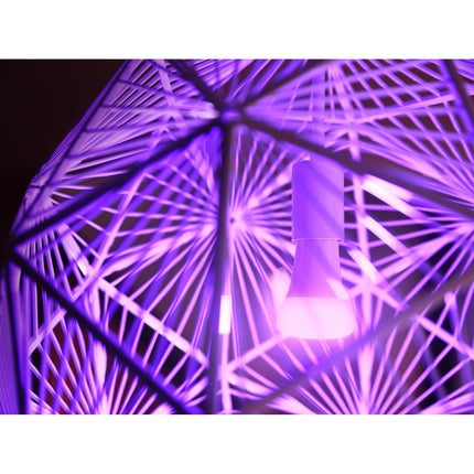 Ampoule LED connectée PHILIPS HUE W&C B22 6.5W x2