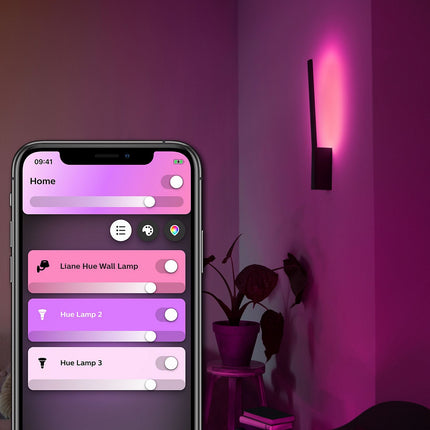 Luminaire PHILIPS HUE W&C LIANE 12W Noir
