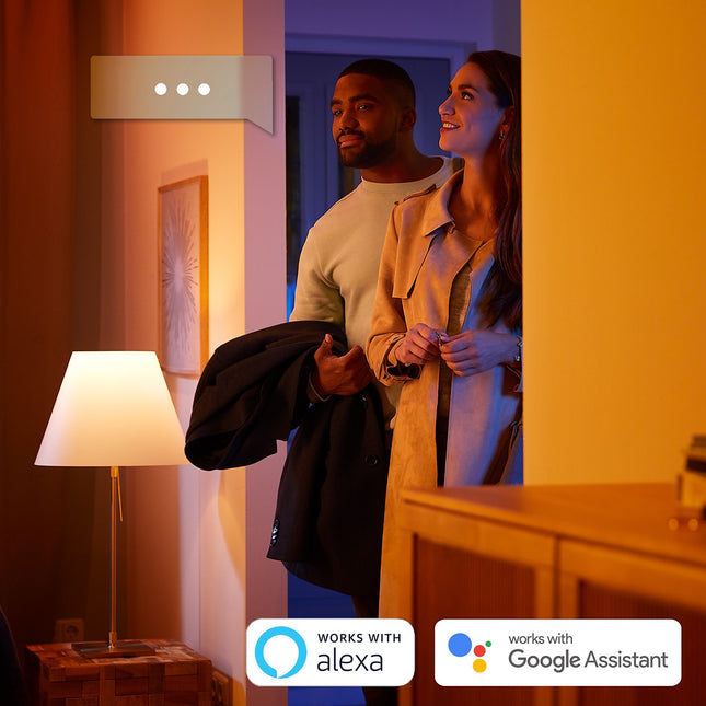 Ampoule LED connectée PHILIPS HUE White Ambiance E14 X2