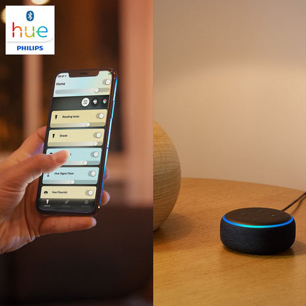 Ampoule LED connectée PHILIPS HUE White Ambiance E14 X2