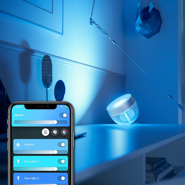Lampe connectée PHILIPS HUE W&C Iris silver Ed. spéciale