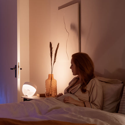 Lampe connectée PHILIPS HUE W&C Iris silver Ed. spéciale