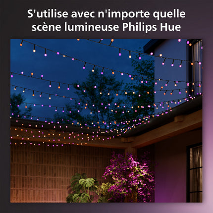 Guirlande lumineuse PHILIPS HUE Lumineuse Festavia W&C 250 Leds