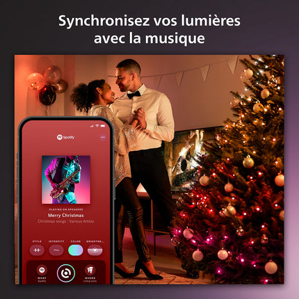 Guirlande lumineuse PHILIPS HUE W&C 500 Leds Festavia