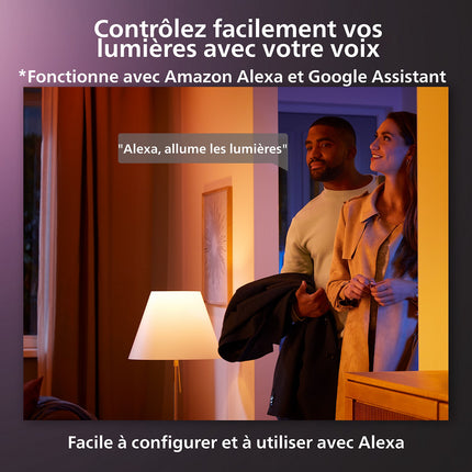Guirlande lumineuse PHILIPS HUE W&C 500 Leds Festavia
