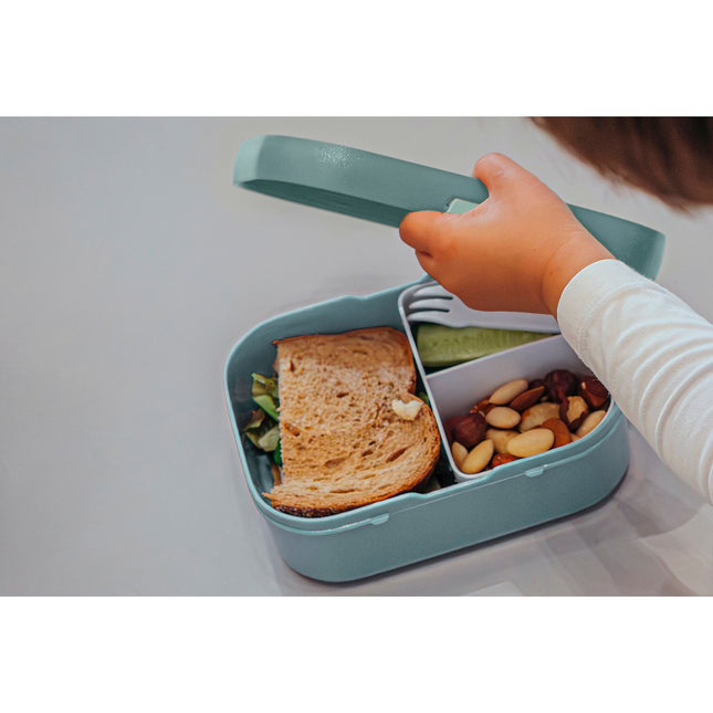 Bento MEPAL à déjeuner campus - forest friends
