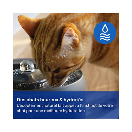 Fontaine à eau PHILIPS silencieuse Série Pet PAW3210/02 automatique noire 2.2L