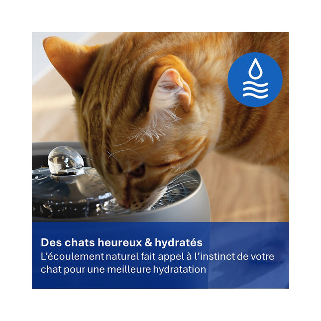 Fontaine à eau PHILIPS silencieuse Série Pet PAW3210/02 automatique noire 2.2L