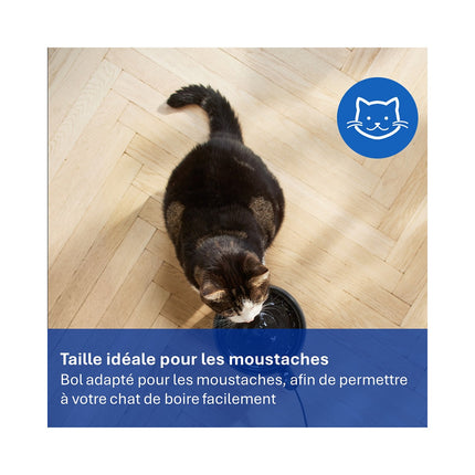 Fontaine à eau PHILIPS silencieuse Série Pet PAW3210/02 automatique noire 2.2L