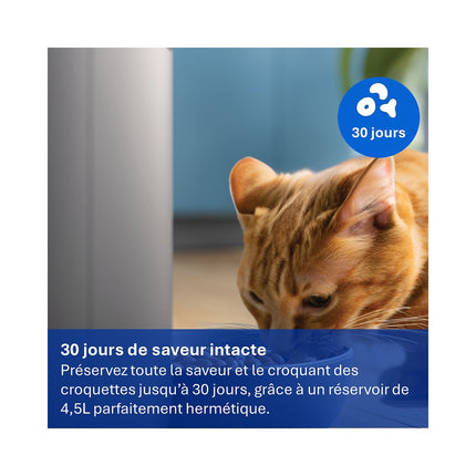Distributeur de croquettes PHILIPS Série Pet PAW5320/02 connectée avec caméra
