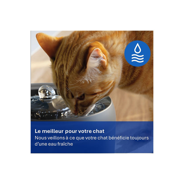 Filtre à eau PHILIPS PAW0010/01 x3 pour fontaine Philips Série Pet
