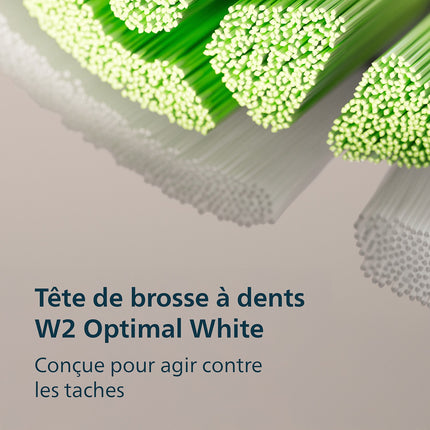 Brosse à dents électrique PHILIPS HX4033/27 Serie 3100 Lilas