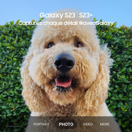 Smartphone SAMSUNG Galaxy S23 Lavande 256Go 5G Reconditionné