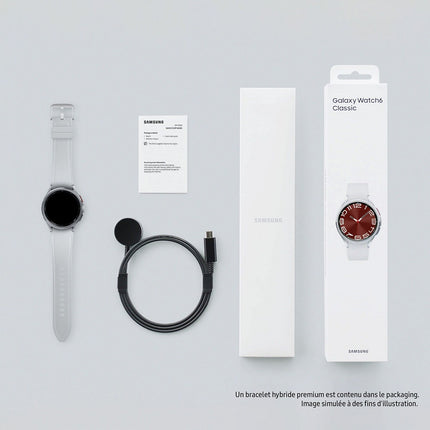 Montre connectée SAMSUNG Galaxy Watch6 Classic BT Argent 43mm
