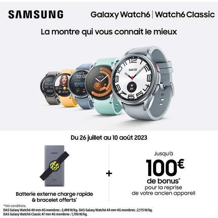 Montre connectée SAMSUNG Galaxy Watch6 Classic BT Argent 43mm