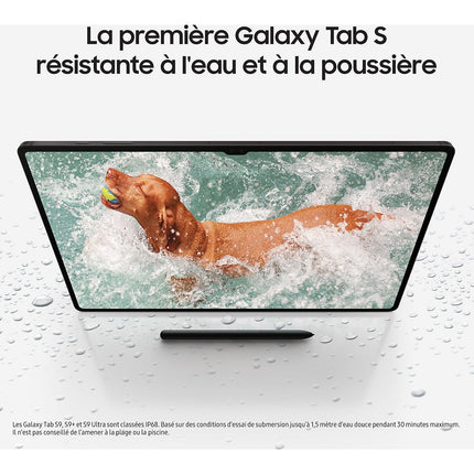 Tablette Android SAMSUNG Galaxy Tab S9 Ultra 14.6 5G 256Go Gris Reconditionné