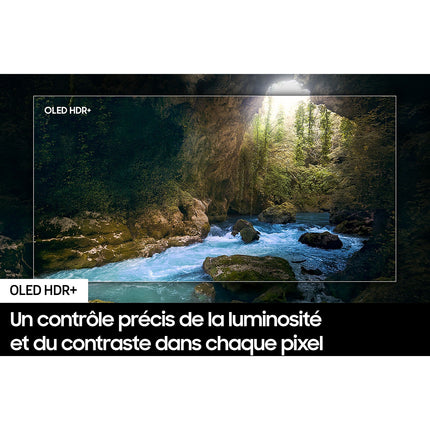 TV OLED SAMSUNG TQ55S92D-55 pouces (138cm)