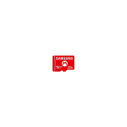 Carte Micro SD SAMSUNG Express 256 go Switch 2