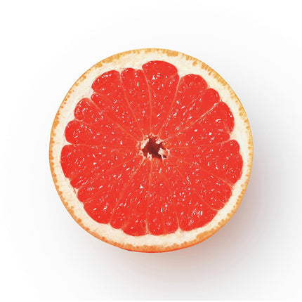 Presse-agrumes SAGE APPLIANCES the Citrus Press Pro