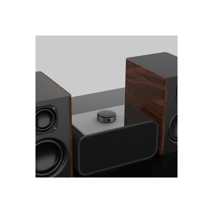 Lecteur réseau HiFi WIIM Mini