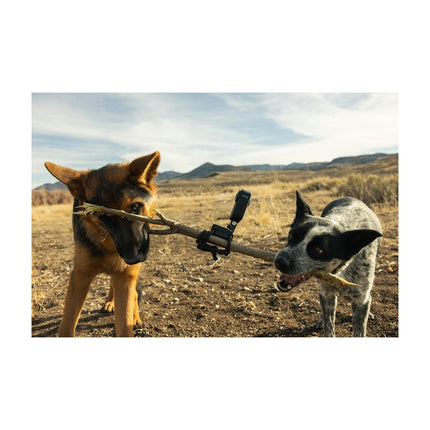 Caméra sport GOPRO MAX 360