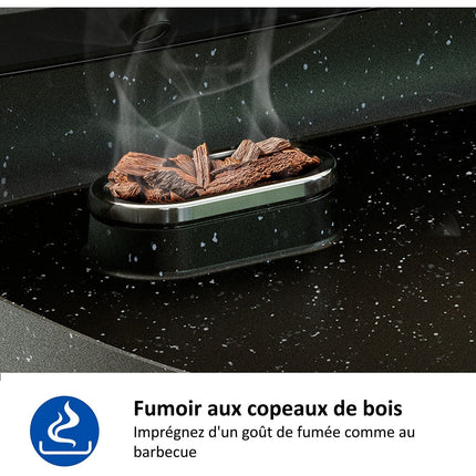 Plancha électrique PHILIPS HD6212/90 couvercle verre à poser, 50x25 cm