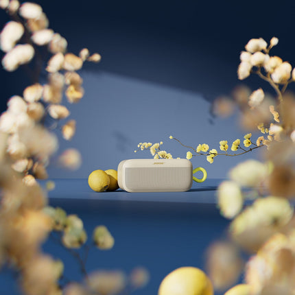 Enceinte portable BOSE SoundLink Plus