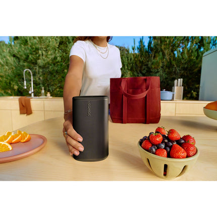 Enceinte portable SONOS Play