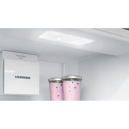 Réfrigérateur 1 porte encastrable LIEBHERR IRBSd5120-22 BioFresh