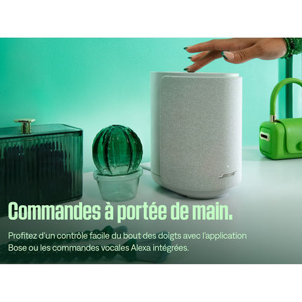 Enceinte résidentielle BOSE Lifestyle Ultra Speaker