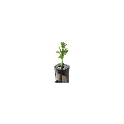 Extracteur de jus KUVINGS NS 1256CEC Gris Mat