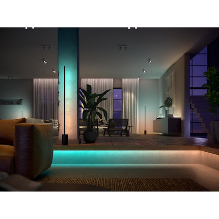 Lampe connectée PHILIPS HUE Gradient Signe noir White&Color Ambiance