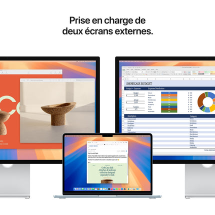 Ordinateur Apple MACBOOK Air 1