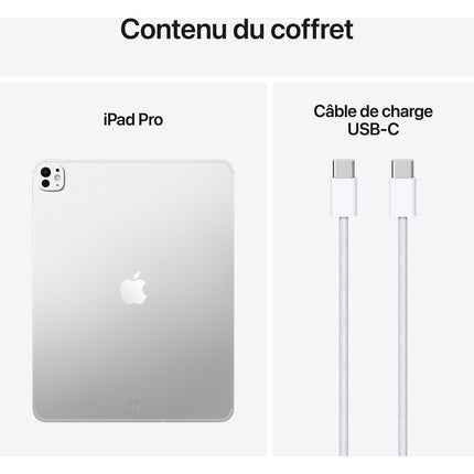 Tablette Apple IPAD Pro 13 M5 512Go Argent Cellular