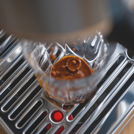 Machine à expresso SAGE APPLIANCES The Bambino Plus Black Truffle