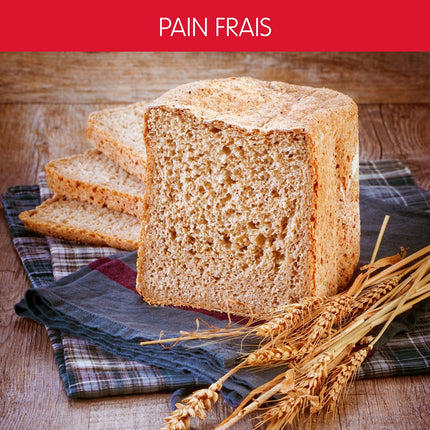 Machine à pain MOULINEX PAIN ET DELICE 1 KG - OW240E30
