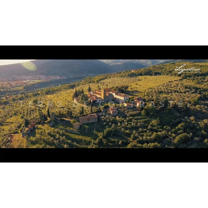 Poignée amovible LAGOSTINA Noire