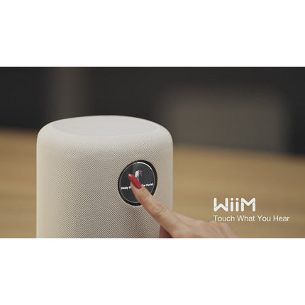 Enceinte Multiroom WIIM Sound Black with display