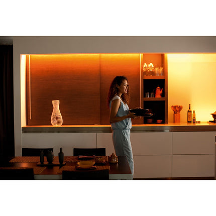 Bandeau LED PHILIPS HUE W&C LightStrip extension 1M