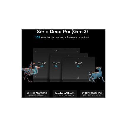Tablette graphique XPPEN Deco Pro MW (Gen 2)+ACK05