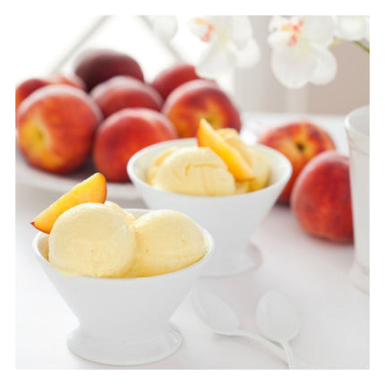 turbine-a-glace-magimix-11680-gelato-expert