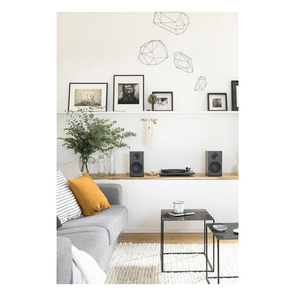 enceinte-bibliotheque-active-triangle-ln01a-elara-mat-x2