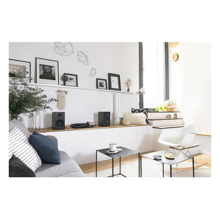 enceinte-bibliotheque-active-triangle-ln01a-elara-mat-x2