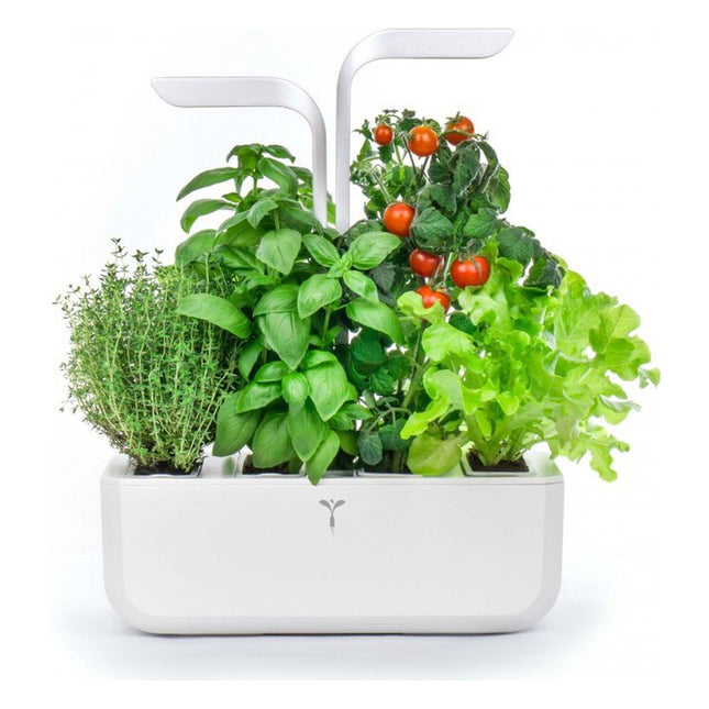 jardin-dinterieur-veritable-classic-blanc