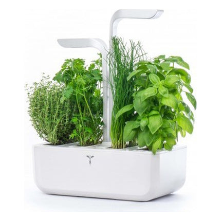 jardin-dinterieur-veritable-classic-blanc