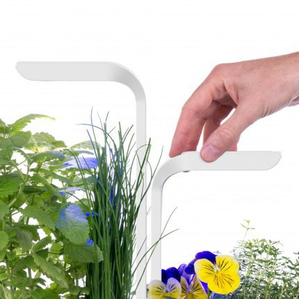 jardin-dinterieur-veritable-classic-blanc