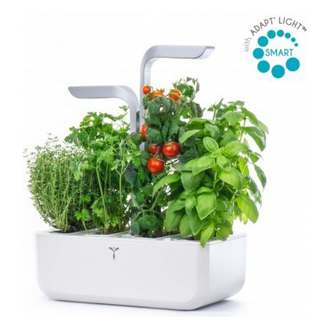 jardin-dinterieur-veritable-smart-arctic-white
