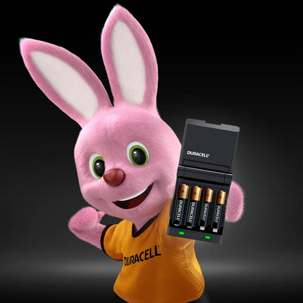 chargeur-secteur-duracell-15-min-cef27-aa-aaa-x2