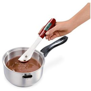 thermometre-cuisson-cook-concept-thermometre